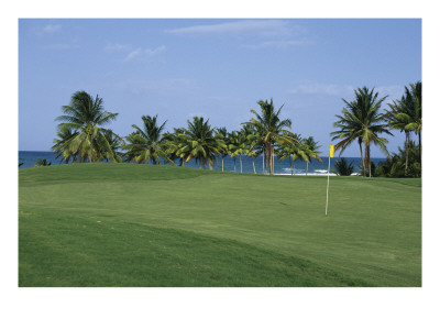 Palmas Del Mar, Hole 17 by Stephen Szurlej Pricing Limited Edition Print image