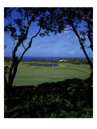 Sandy Lane C.C., Hole 2 by J.D. Cuban Pricing Limited Edition Print image