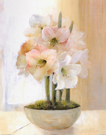 Striped Amaryllis by Peter Mcgowan Pricing Limited Edition Print image