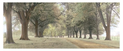 Avenue Of Trees by Michael Hudson Pricing Limited Edition Print image