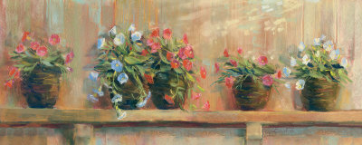 Petunias In Pots by Carol Rowan Pricing Limited Edition Print image