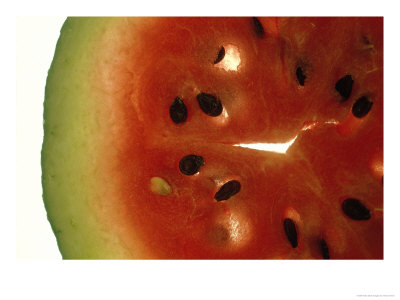 Close Up Of A Slice Of Watermelon by Henry Fichner Pricing Limited Edition Print image