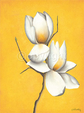 Magnolia In The Sun by Caroline Wenig Pricing Limited Edition Print image