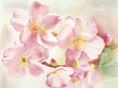 Precious Cherry by Annemarie Peter-Jaumann Pricing Limited Edition Print image