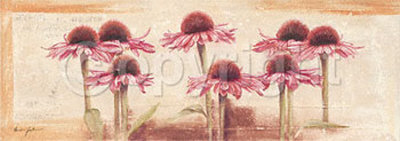 My Pink Daisies by Anna Gardner Pricing Limited Edition Print image