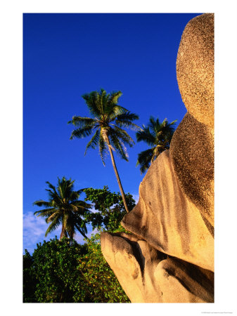 Granite Formations And Palm Trees, Seychelles by Ralph Lee Hopkins Pricing Limited Edition Print image