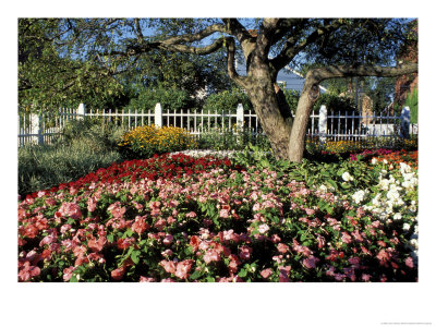 Garden At Prescott Park, New Hampshire, Usa by Jerry & Marcy Monkman Pricing Limited Edition Print image