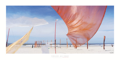 Zoiles Au Vent by Georges-Felix Cohen Pricing Limited Edition Print image