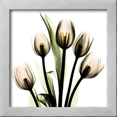 Crystal Flowers X-Ray, Tulip Bouquet by Albert Koetsier Pricing Limited Edition Print image