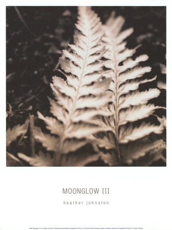 Moonglow Iii by Heather Johnston Pricing Limited Edition Print image