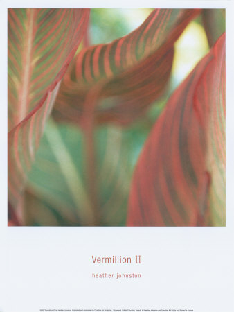 Vermillion Ii by Heather Johnston Pricing Limited Edition Print image