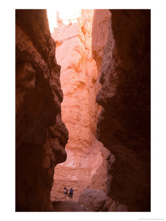 A Couple Hikes Along A Trail Between The Hoodoos In Bryce Canyon by Taylor S. Kennedy Pricing Limited Edition Print image