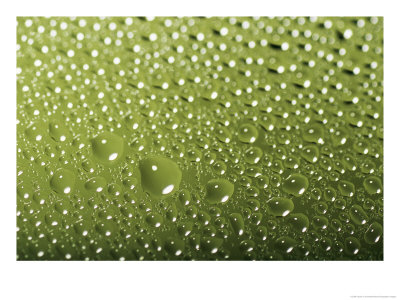 Drops And Droplets Of Water On A Sheet Of Glass by Taylor S. Kennedy Pricing Limited Edition Print image