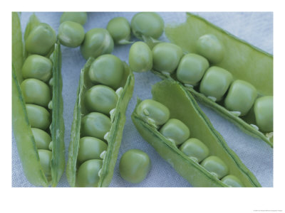 A Close View Of Peas In Their Pods by Tom Murphy Pricing Limited Edition Print image