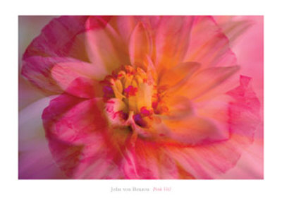Pink Veil by John Von Benzon Pricing Limited Edition Print image