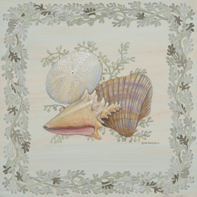 Pastel Shell I by Wendy Russell Pricing Limited Edition Print image