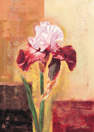 Beautiful Iris by Gabor Barthez Pricing Limited Edition Print image