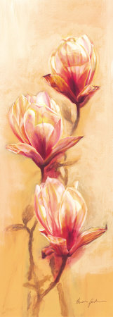 Passionate Magnolia by Anna Gardner Pricing Limited Edition Print image