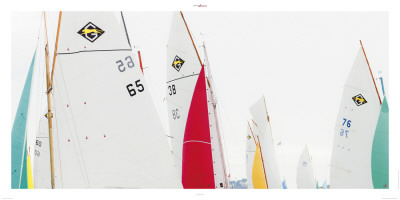 Guepards by Philip Plisson Pricing Limited Edition Print image