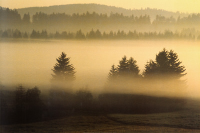 Misty Ridge Ii by Jon Hart Gardey Pricing Limited Edition Print image