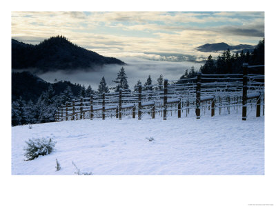 Snow Covered Vineyard, Napa Valley, United States Of America by Jerry Alexander Pricing Limited Edition Print image
