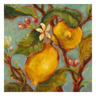 Lemons On A Branch by Nicole Etienne Pricing Limited Edition Print image
