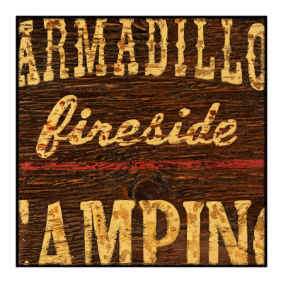 Armadillo Fireside Camping by Aaron Christensen Pricing Limited Edition Print image