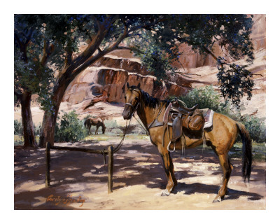 Canyon Shade by Carolyne Hawley Pricing Limited Edition Print image