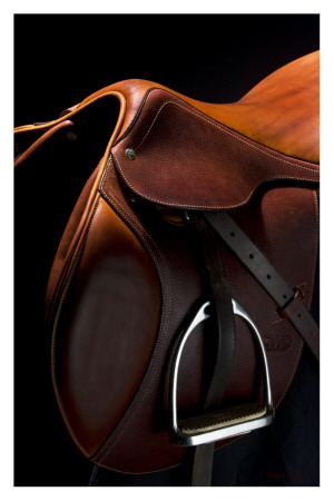 English Saddle Ii by Robert Dawson Pricing Limited Edition Print image