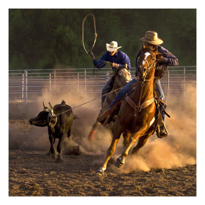 Roping On The Ranch Ii Color by Robert Dawson Pricing Limited Edition Print image
