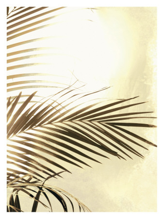 Areca Sepia Palm Iii by Trulee Jameson Pricing Limited Edition Print image