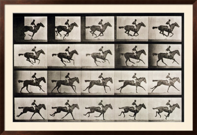 Jockey On A Galloping Horse, Plate 627 From Animal Locomotion, 1887 by Eadweard Muybridge Pricing Limited Edition Print image