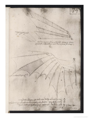 Sketches Of Wings For Flying Machines by Leonardo Da Vinci Pricing Limited Edition Print image