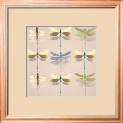 Floating Dragonflies I by Katja Marzahn Pricing Limited Edition Print image