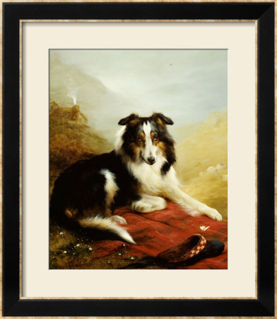 A Collie, The Guardian Of The Flock, 1908 by Edwin Douglas Pricing Limited Edition Print image