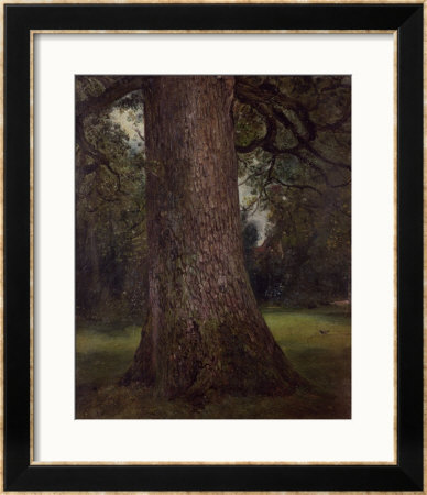 Study Of The Trunk Of An Elm Tree, Circa 1821 by John Constable Pricing Limited Edition Print image