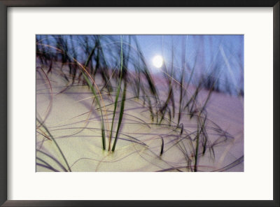 A View Of A Full Moon Rising Above A Sand Dune by Raymond Gehman Pricing Limited Edition Print image