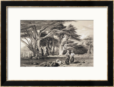 The Cedars Of Lebanon by Prosper Georges Antoine Marilhat Pricing Limited Edition Print image