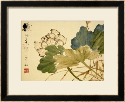 Lotus by Xu Gu Pricing Limited Edition Print image