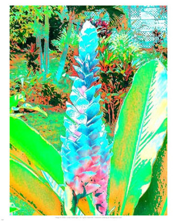 Garden Party by Lucas Goldfinger Pricing Limited Edition Print image