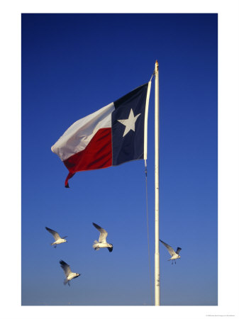 Texas Flag And Gulls by Scott Berner Pricing Limited Edition Print image