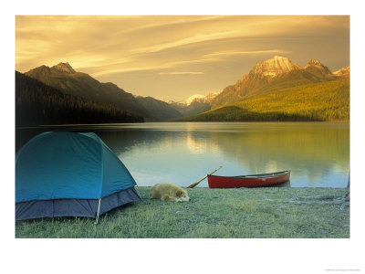 Camping, Bowman Lake, Glacier National Park, Mt by Wiley & Wales Pricing Limited Edition Print image