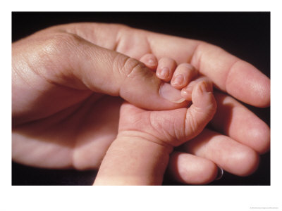 Baby And Adult Hands by Mitch Diamond Pricing Limited Edition Print image