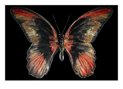 Conde Nast, Trunk Archive by Kenji Toma Pricing Limited Edition Print image