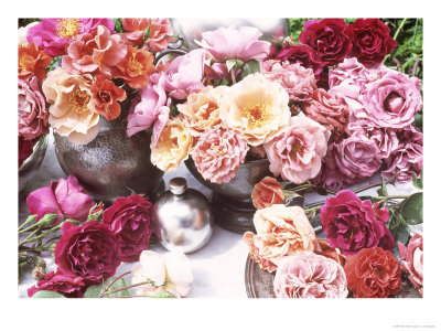 Old English Roses In Pewter Vases In The Garden by Linda Burgess Pricing Limited Edition Print image