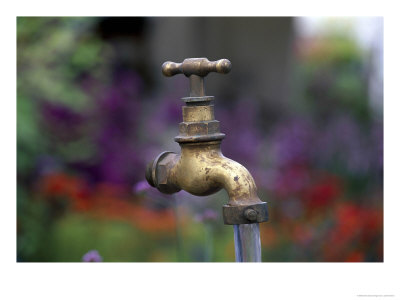 Hovering Tap Ornament (Support Hidden By Water) Hampton Court Flower Show 1999 by Juliet Greene Pricing Limited Edition Print image