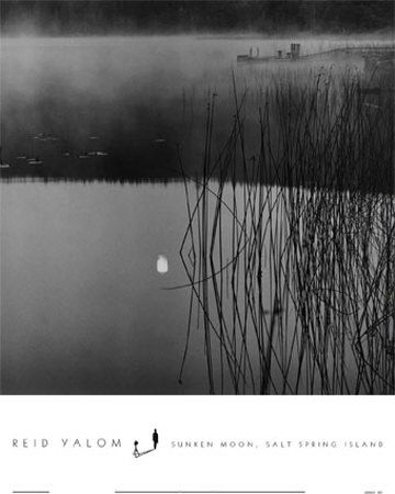 Sunken Moon, Salt Spring Island by Reid Yalom Pricing Limited Edition Print image
