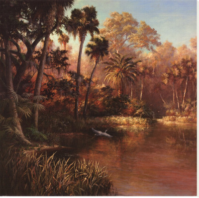 Myakka Sunset by Malarz Pricing Limited Edition Print image