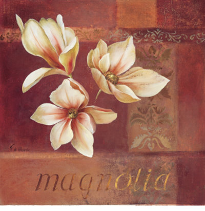 Magnolia Blooms Ii by Fabrice De Villeneuve Pricing Limited Edition Print image
