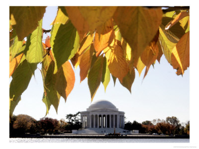 Fall Foliage Frames The Jefferson Memorial On The Tidal Basin Near The White House by Ron Edmonds Pricing Limited Edition Print image